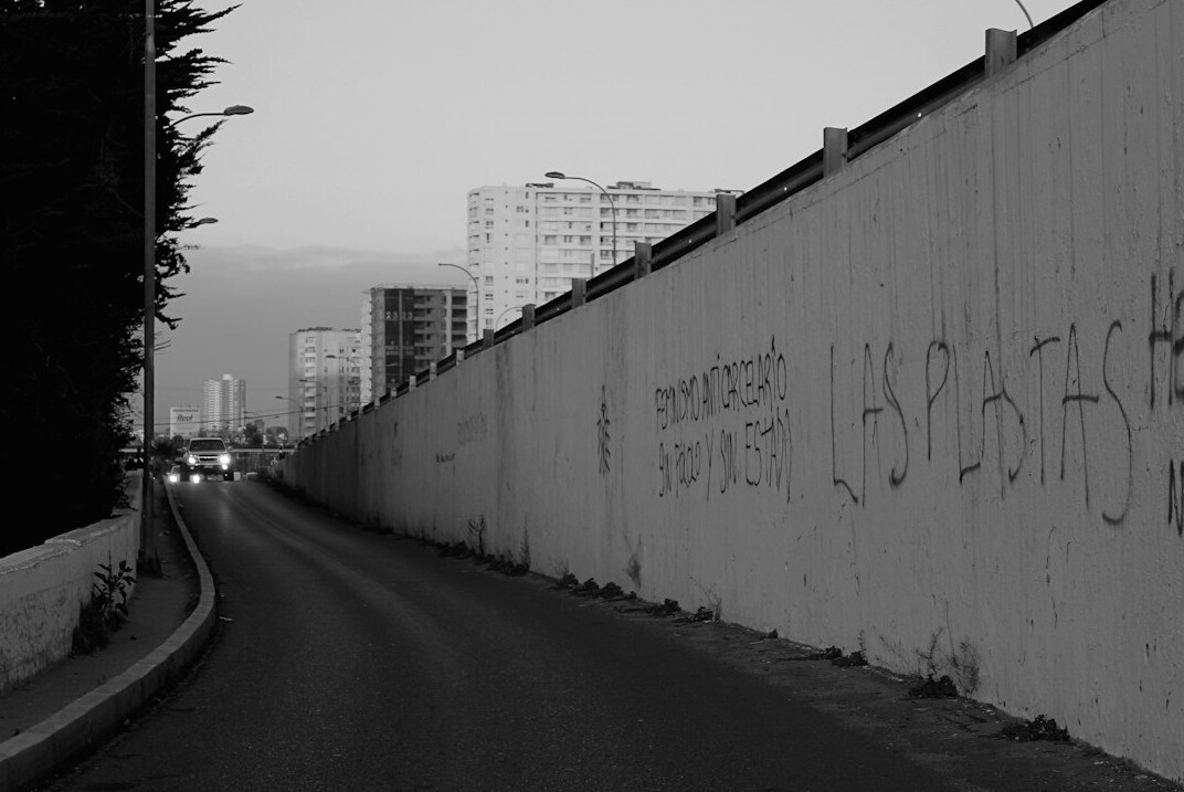 photographer holding camera urban chile