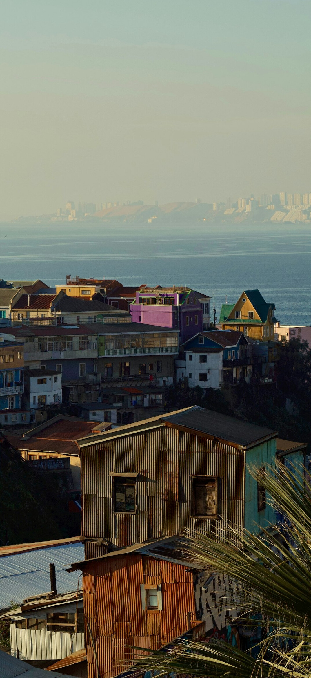 Colorful hillside houses in a Valparaíso neighborhood at golden hour